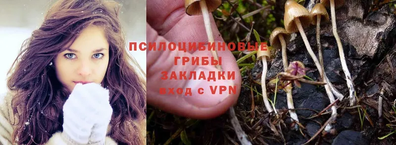 даркнет сайт  Нижнекамск  ОМГ ОМГ вход  Галлюциногенные грибы MAGIC MUSHROOMS 