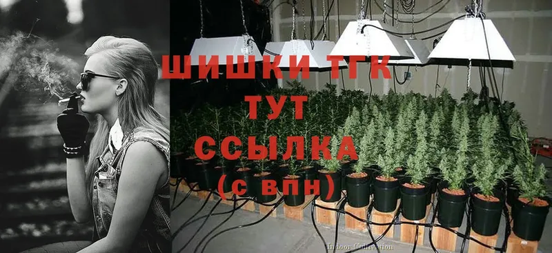 Конопля OG Kush  Нижнекамск 